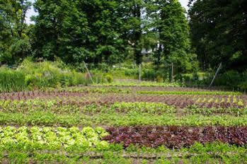 Hotel Schloss Wartegg 4*